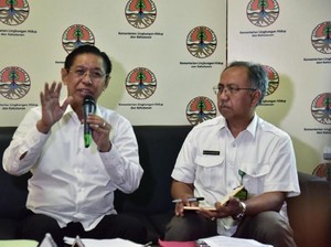 KLHK Pastikan Masalah Lingkungan PT Freeport Sudah Ada Penyelesaian