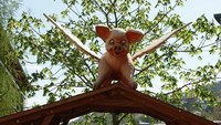 Letaknya berada di Schlachthofstraße 2A, 70188, Stuttgart, Jerman (Schweinemuseum/Facebook)