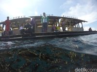 Ini Destinasi yang Ditawarkan Banyuwangi Untuk Wisman Malaysia