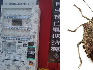 Wouw! Vending Machine Ini Jual Aneka Serangga Kering
