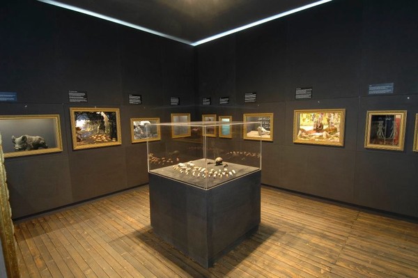 Di saat-saat tertentu, pihak museum juga menggelar acara interaktif. Seperti pameran temporer, festival, dan aneka acara lainnya (Schweinemuseum/Facebook) Di saat-saat tertentu, pihak museum juga menggelar acara interaktif. Seperti pameran temporer, festival, dan aneka acara lainnya (Schweinemuseum/Facebook)
