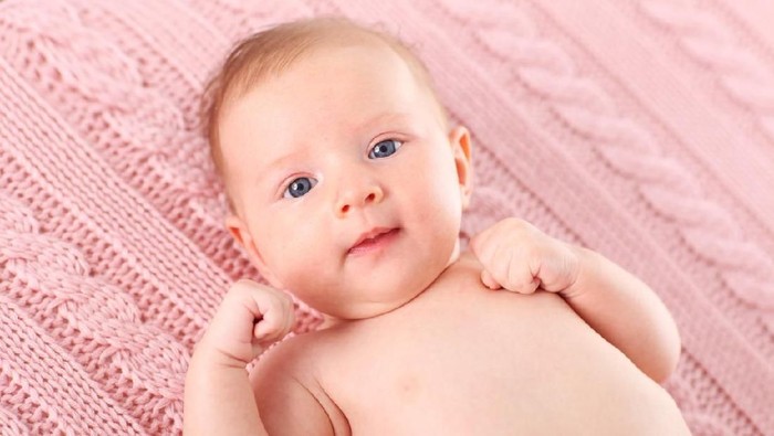 Foto: Istock Foto: Istock