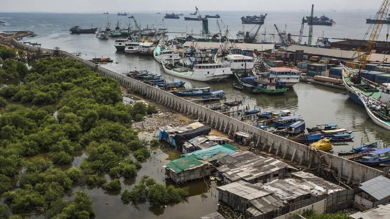 Foto: (BBC Capital) Foto: (BBC Capital)