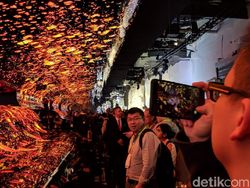 Instalasi Layar OLED LG Sukses Bikin Mata Terpana
