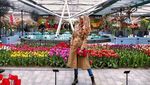 Foto: Liburan Mewah Selebgram Cantik Rusia, Diana Chernyak