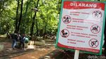 Begini Kondisi Taman Puring yang Akan Direvitalisasi Pemprov DKI