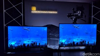 Jajan TV 8K besutannya Sony. (Foto: Adi Fida Rahman/detikINET)