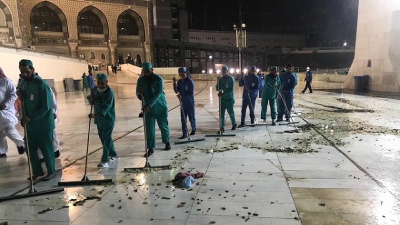KJRI Jeddah: Jangkrik di Masjidil Haram Tak Berbahaya KJRI Jeddah: Jangkrik di Masjidil Haram Tak Berbahaya