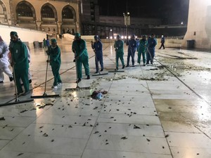KJRI Jeddah: Jangkrik di Masjidil Haram Tak Berbahaya