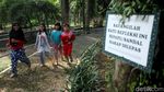 Penampakan Terkini Taman Langsat Jelang Direvitalisasi