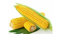 Ada gambar jagung nih, kira-kira ada yang paham maksud cuitan netizen ini? Foto: Twitter