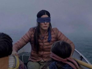 Bird Box Challenge saat Mengemudi Makan Korban