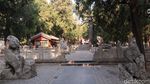 Foto: Kelenteng Tertua China yang Misterius