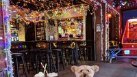 Siapa bilang anjing nggak bisa hang out di bar? Lennon sudah pakai baju keren dan memesan dua minuman. Foto: Instagram lennon_yorkie