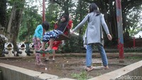 Soal alasan revitalisasi, Suzi mengatakan kelima taman tersebut sudah 10-15 tahun belum mendapatkan perbaikan. Sehingga, menurut Suzi, kondisinya saat ini benar-benar memerlukan perbaikan. 