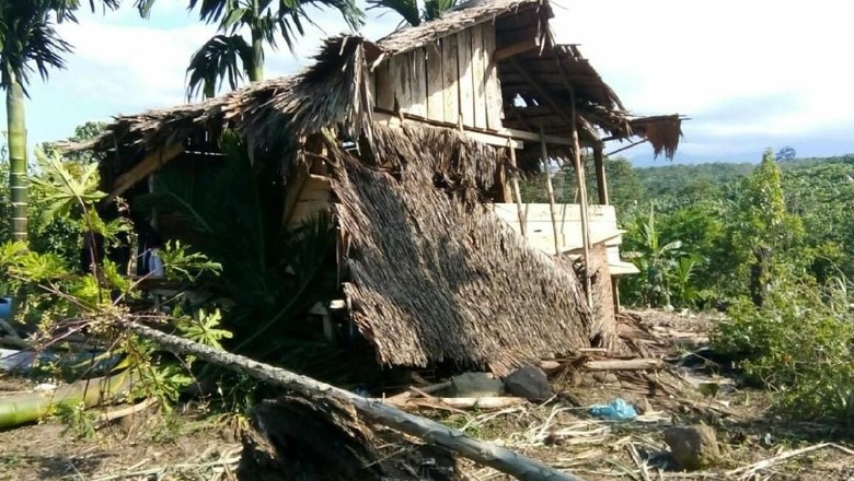 Gajah Liar Rusak Perkebunan Warga di Aceh Utara, Warga Cemas Gajah Liar Rusak Perkebunan Warga di Aceh Utara, Warga Cemas
