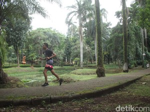 Jam Buka Taman Langsat: Rute hingga Harga Tiket Masuk, Benarkah Seram?