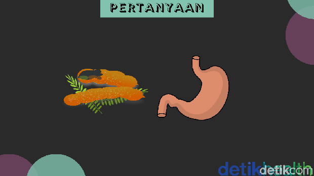 Asah otak ala detikHealth.