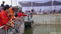 Saat peresmian, Walikota Oded sempat menebar satu kuintal ikan mas di kolam retensi. Bukan cuma hiasan, Oded mempersilakan warga untuk memancing ikan-ikan tersebut. Dia bahkan akan menambah jumlah ikannya. Jadilah kolam ini sebagai wisata pemancingan ikan (Tri Ispranoto/detikTravel) 