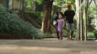 Kepala Dinas Kehutanan DKI Jakarta Suzi Marsitawati mengatakan pihaknya akan melakukan revitalisasi taman di Jakarta selama 2019 ini. Revitalisasiini memakan biaya sebanyak Rp 140 miliar.