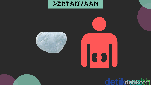 Asah otak ala detikHealth.