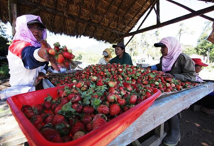 Foto: dok. BRI Foto: dok. BRI