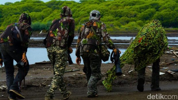 Penampakan Bangau Bluwok yang Hampir Punah di Probolinggo