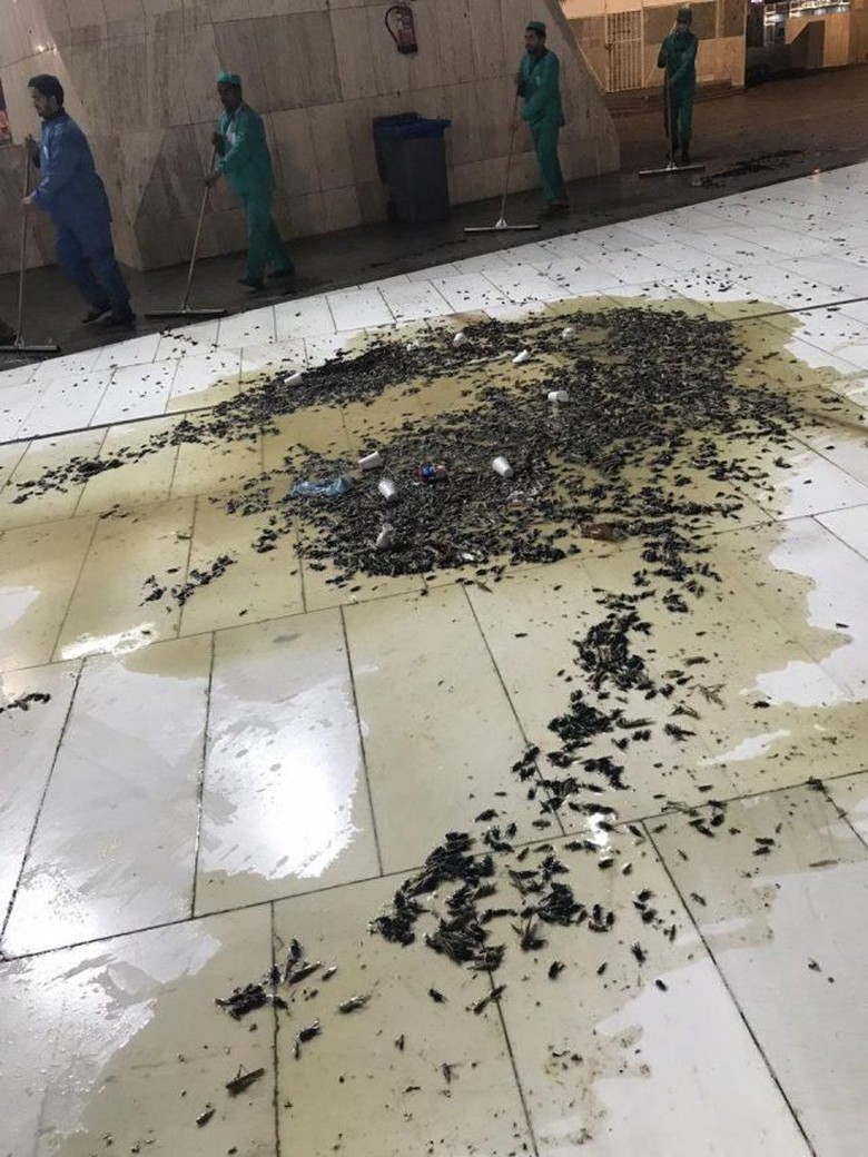 Masjidil Haram Diserbu Ribuan Serangga Masjidil Haram Diserbu Ribuan Serangga