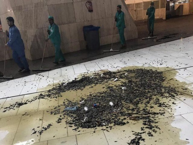 Bukan Cuma Masjidil Haram, Serangga Juga Serbu Sekolah dan Rumah Warga Bukan Cuma Masjidil Haram, Serangga Juga Serbu Sekolah dan Rumah Warga
