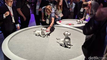 Paling menarik bermain bersama robot anjing Aibo. (Foto: Adi Fida Rahman/detikINET)