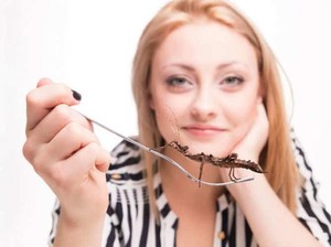 Festival Makan Kaki Katak hingga Buaya, Ini 5 Festival Kuliner Aneh Dunia