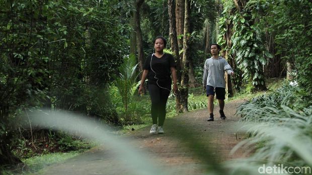 Pemprov DKI Jakarta akan merevitalisasi beberapa taman termasuk Taman Langsat di kawasan Kebayoran Baru. Begini penampakan terkininya.