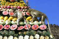 Festival Makan Kaki Katak hingga Buaya, Ini 5 Festival Kuliner Aneh Dunia