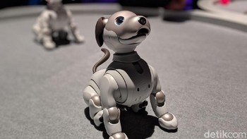 Imut banget ya Aibo. (Foto: Adi Fida Rahman/detikINET)