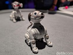 Robot Aibo dan Motor Venom Mejeng di Las Vegas, Mau Ngapain?