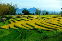 (Muhammad Bakri/detikTravel)