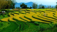 Selain keunikan bebatuan, saat menuju lokasi, traveler akan dimanjakan dengan pemandangan hamparan sawah berlatar belakang puncak Gunung Bawakaraeng. (Muhammad Bakri/detikTravel)