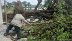 Puting Beliung Terjang Glagah Lamongan