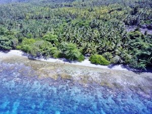 Sekali Seumur Hidup, Mesti Datang ke Pulau Bacan!