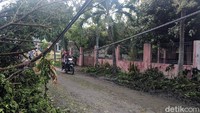 Pohon tersebut menimpa kabel listrik.