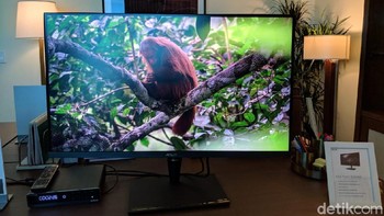 Asus ProArt, monitor 4K yang punya backlight FALD dengan 1.000 zona. Foto: Adi Fida Rahman/detikINET
