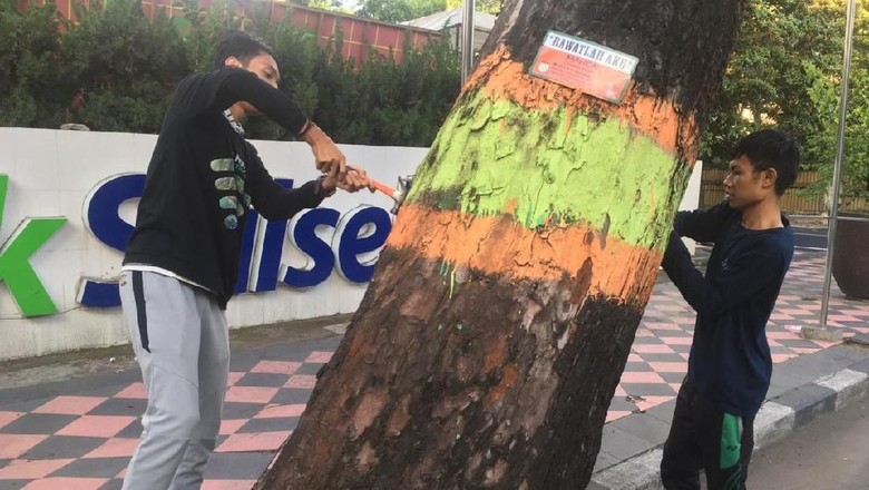 Peringati Hari Sejuta Pohon, Warga di Makassar Gelar Aksi Cabut Paku Peringati Hari Sejuta Pohon, Warga di Makassar Gelar Aksi Cabut Paku