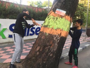 Peringati Hari Sejuta Pohon, Warga di Makassar Gelar Aksi Cabut Paku