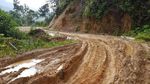 Potret Jalan Trans Papua yang Rusak Berat
