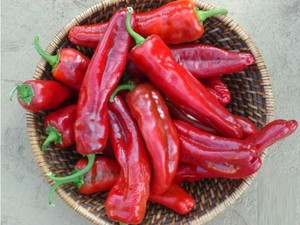 Ya Ampun! Balita Mungil Ini Doyan Makan Cabai Raksasa