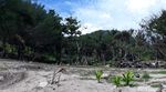 Foto: Pantai Porok yang Tersembunyi di Gunungkidul