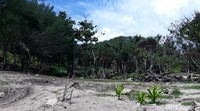 Bahkan, karena belum banyak yang mengetahui Pantai Porok, membuat setiap pengunjung dapat merasakan sensasi pantai pribadi di sana. (Pradito Rida Pertana/detikTravel)