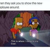 Saat diminta menunjukkan isi kantor kepada teman kerja baru, ini adalah tempat paling penting. Yakni ruangan sepi untuk menangis. Foto: Instagram