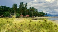 Jika lapar setelah main air, pengunjung tidak perlu repot mencari makanan. Di sini, kita dapat memesan udang dan ikan bandeng segar dari tambak warga di sekitar pantai yang dibanderol dengan harga murah. (Abdy Fabriady/detikTravel)