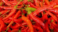 Makanan pedas bisa tingkatkan detak jantung. Selain itu, makanan ini bisa merangsang sistem pencernaan. Hasilnya, kalau Anda makan sebelum tidur, perut jadi tak enak bahkan diare. Foto: Istimewa